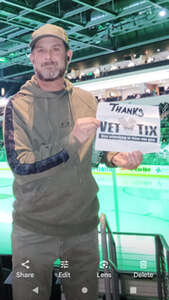 Texas Stars - AHL vs Manitoba Moose