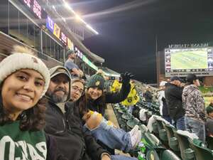 Baylor Bears - NCAA Football vs West Virginia Mountaineers