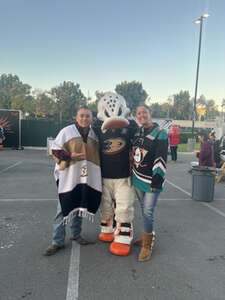 Anaheim Ducks - NHL vs St. Louis Blues