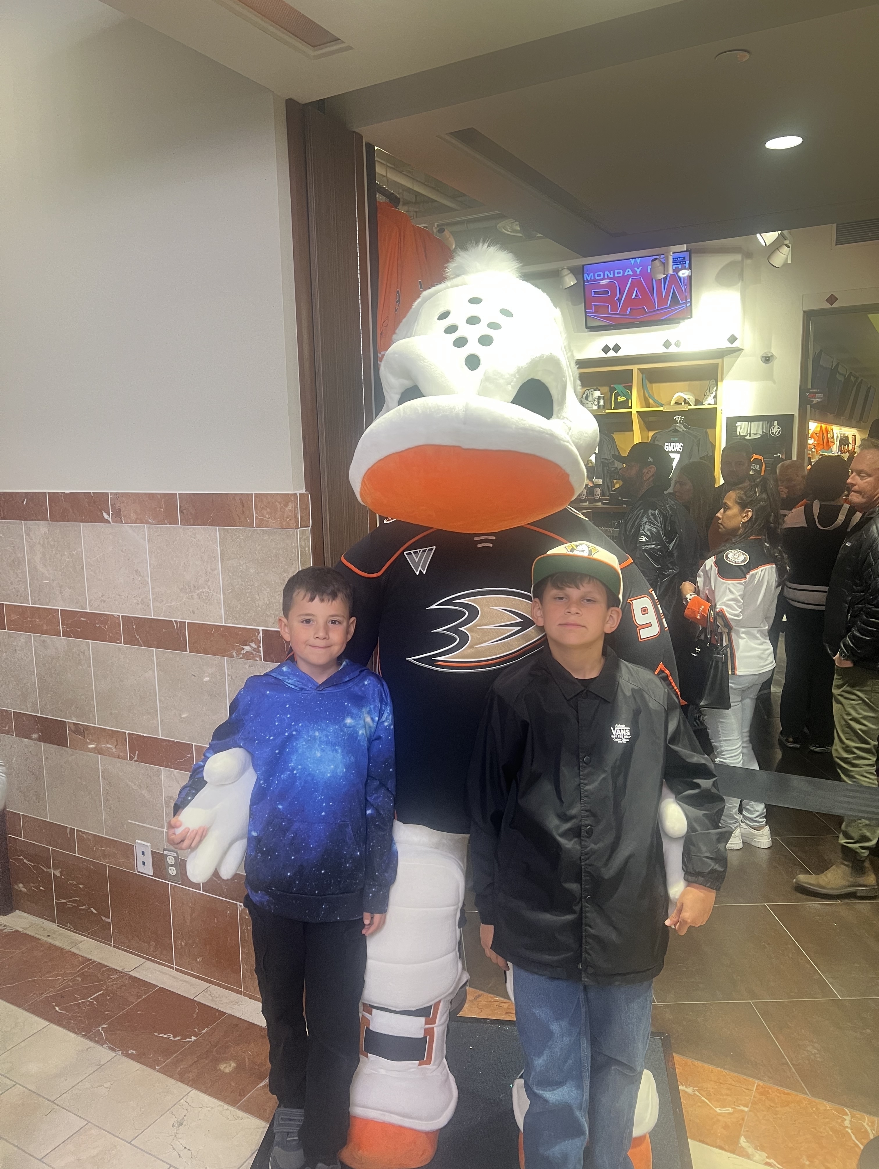 Anaheim Ducks - NHL vs Vegas Golden Knights