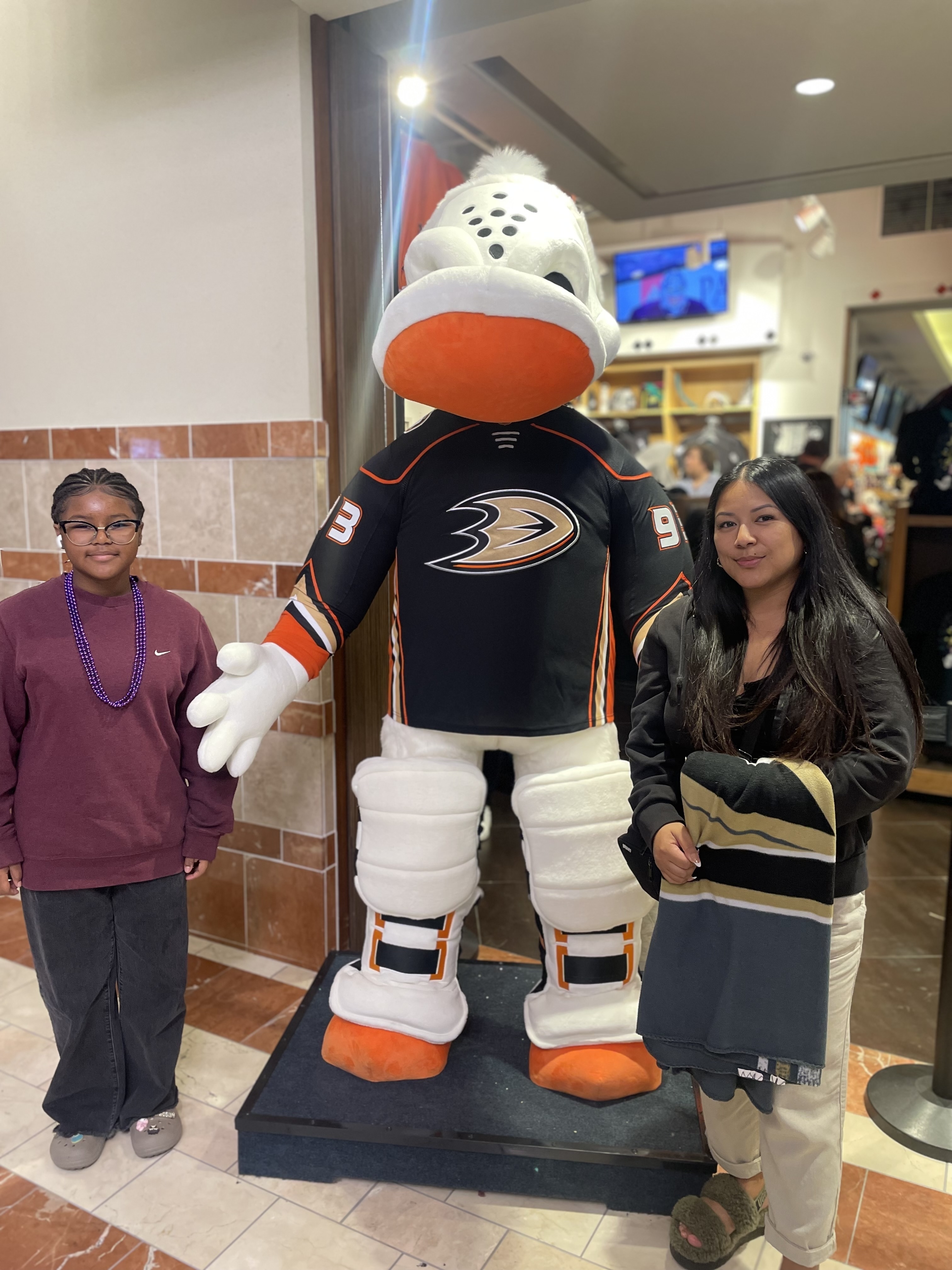 Anaheim Ducks - NHL vs Vegas Golden Knights