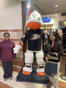 Anaheim Ducks - NHL vs Vegas Golden Knights