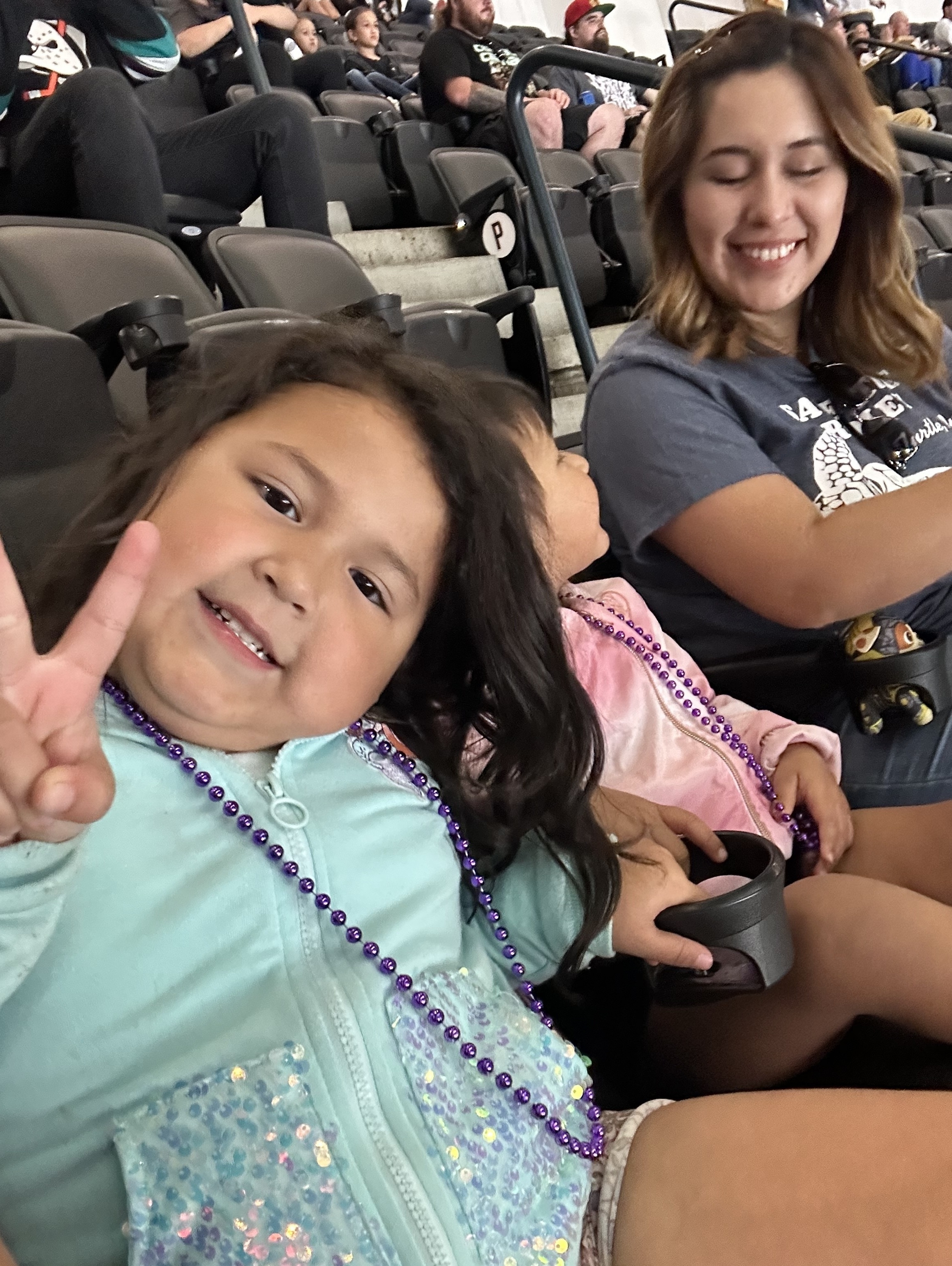 Anaheim Ducks - NHL vs Vegas Golden Knights