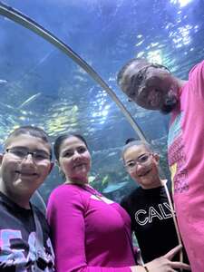 Cirque Du Soleil: Bazzar