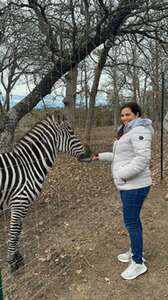 Safari Tour at Grapetown Vineyard