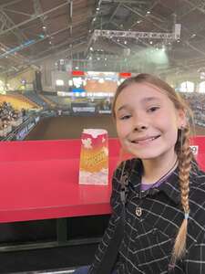 Ultimate Bullfighters