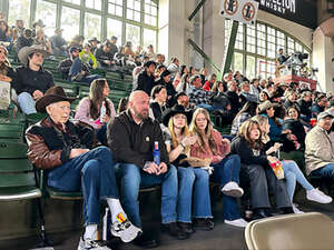 Ultimate Bullfighters 1/21