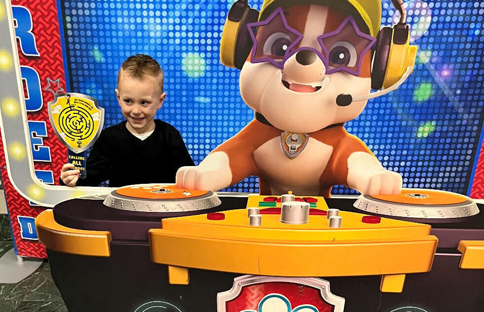 Paw Patrol Live!