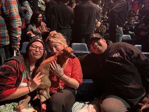 Cirque du Soleil: Kooza
