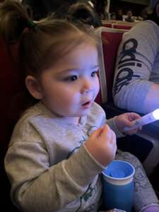 Disney Princess: The Concert