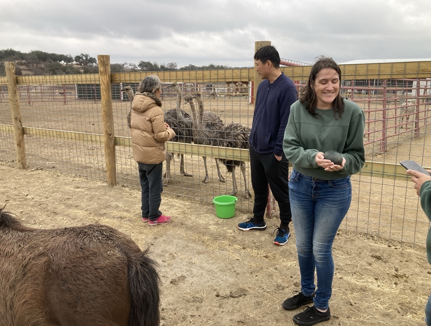 Event Feedback: Safari Tour at Grapetown Vineyard