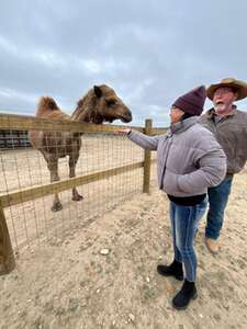 Safari Tour at Grapetown Vineyard