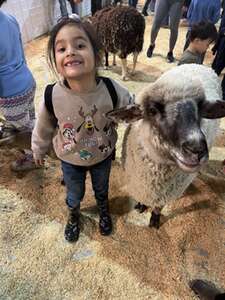 Single Day Fairgrounds Admission