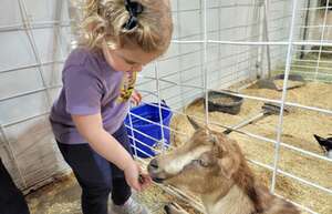 Single Day Fairgrounds Admission