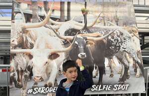 Single Day Fairgrounds Admission