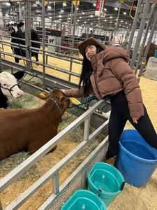 San Antonio Stock Show & Rodeo Followed By Neal McCoy