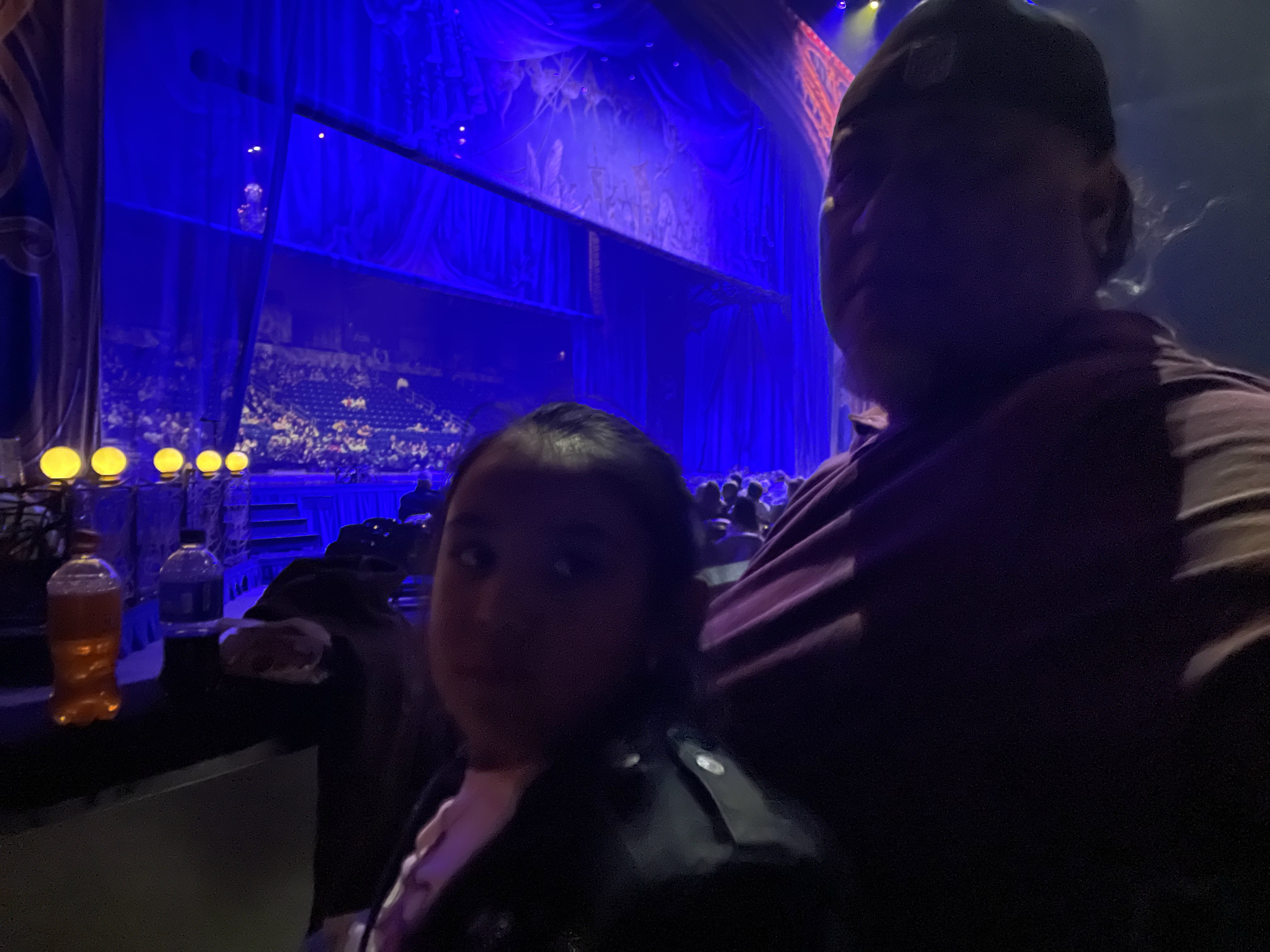 Cirque du Soleil : Corteo