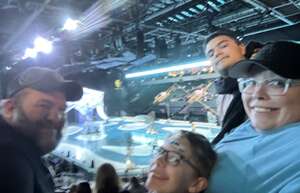 Cirque du Soleil: Crystal