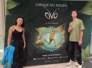 Cirque du Soleil: OVO