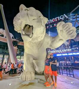 Dena attended Detroit Tigers - MLB vs Colorado Rockies on Sep 11th 2024 via VetTix 