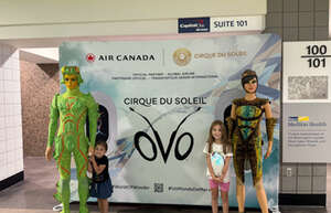 Cirque du Soleil: OVO