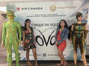 Cirque du Soleil: OVO