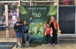 Cirque du Soleil: OVO