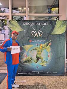 Cirque du Soleil: OVO