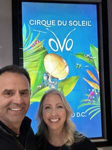 Cirque du Soleil: OVO