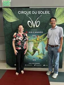 Cirque du Soleil: OVO