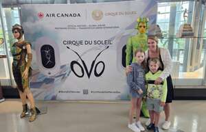 Cirque du Soleil: OVO