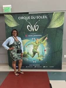 Cirque du Soleil: OVO