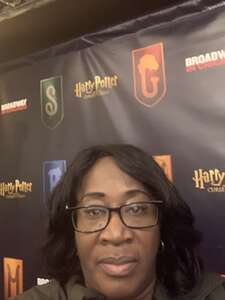 Harry Potter and the Cursed Child (Chicago)