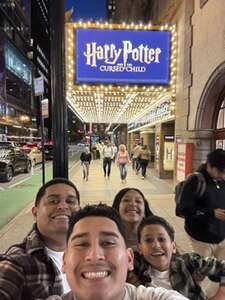 Harry Potter and the Cursed Child (Chicago)