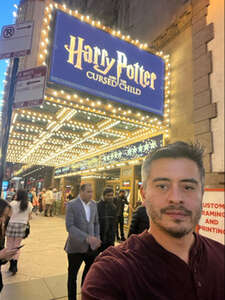 Harry Potter and the Cursed Child (Chicago)