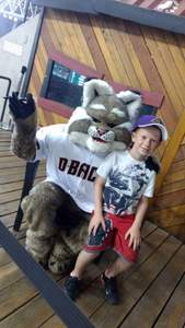 Arizona Diamondbacks vs. St. Louis Cardinals - MLB