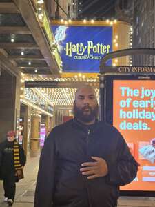 Harry Potter and the Cursed Child (Chicago)