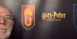 Harry Potter and the Cursed Child (Chicago)