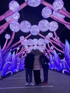 Tianyu Lights Festival