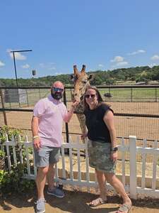 GIRAFFE EXPERIENCE PLUS LUNCH or DINNER