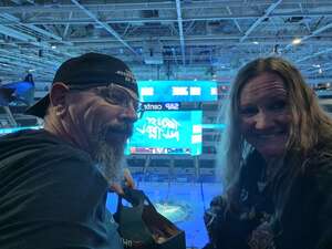 San Jose Sharks - NHL vs Vegas Golden Knights