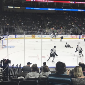 Jacksonville Icemen vs. South Carolina Stingrays - ECHL
