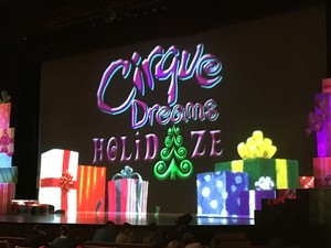 M Lewis attended Cirque Dreams Holidaze on Dec 5th 2017 via VetTix 