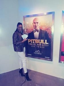 Chablis attended Pitbull - Time of Our Lives on Jan 24th 2018 via VetTix 