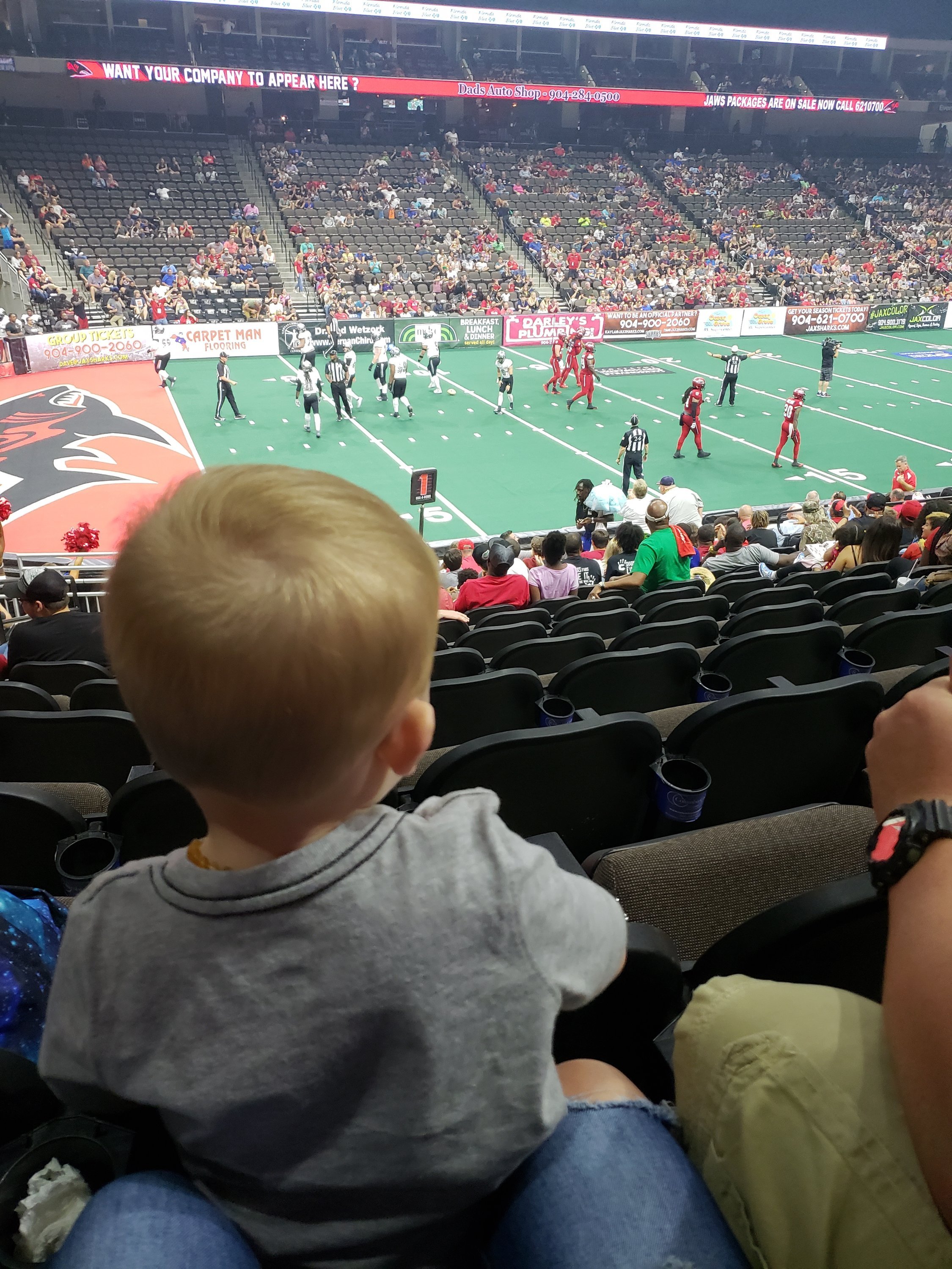 Jacksonville Sharks vs. Carolina Cobras - AFL