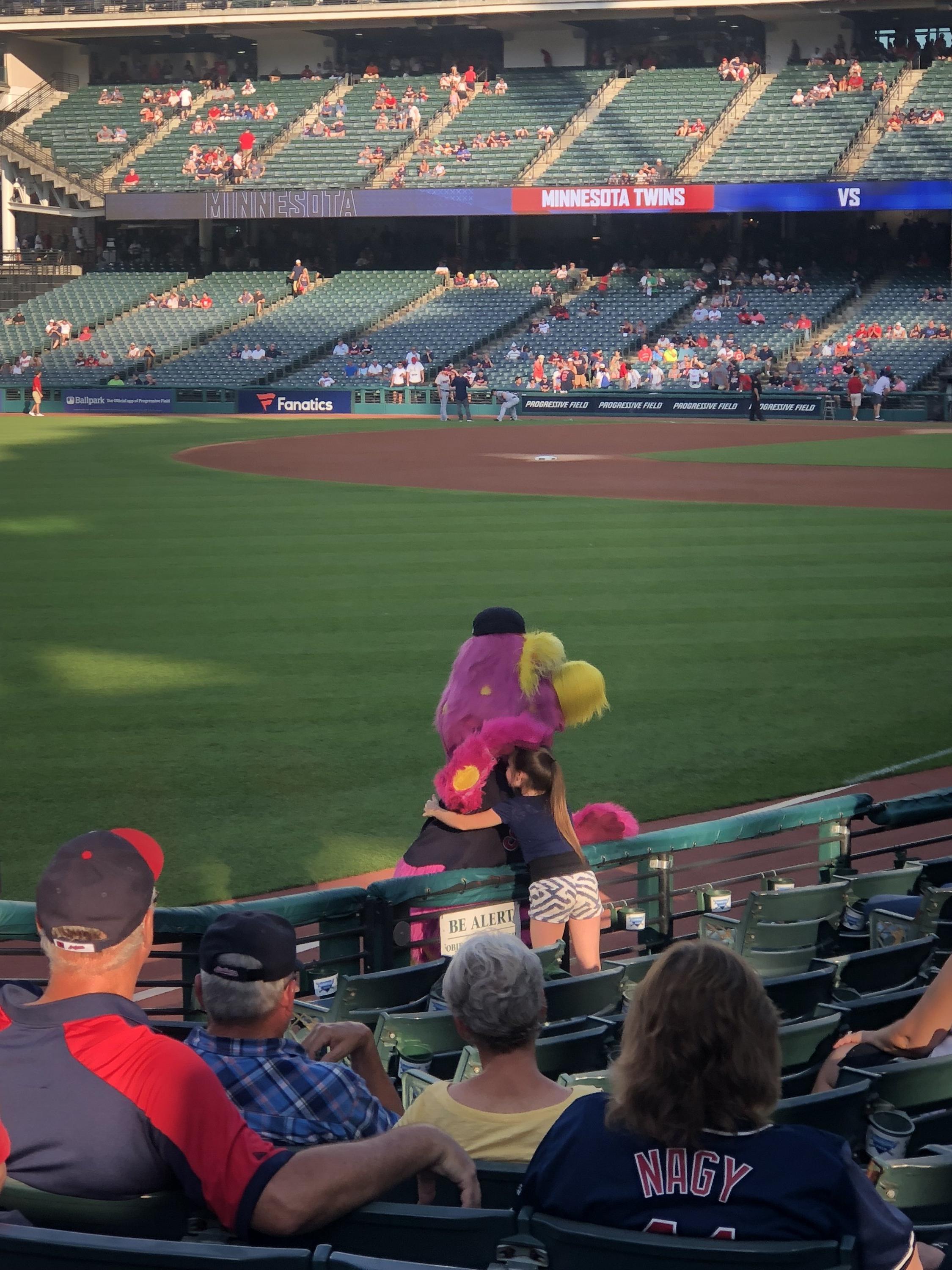 Cleveland Indians vs. Minnesota Twins - MLB