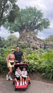 Click To Read More Feedback from Disney World with the family 